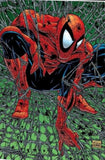 Spider-Ma #1 Todd McFarlane Torment FOIL Variant